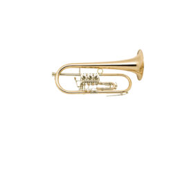 Dotzauer B-Flügelhorn Eng